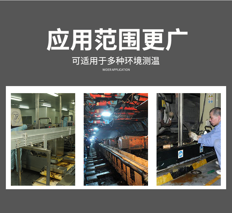 2008一體化溫度傳感器8_http://www.gxyifafood.com_溫度儀表_第7張