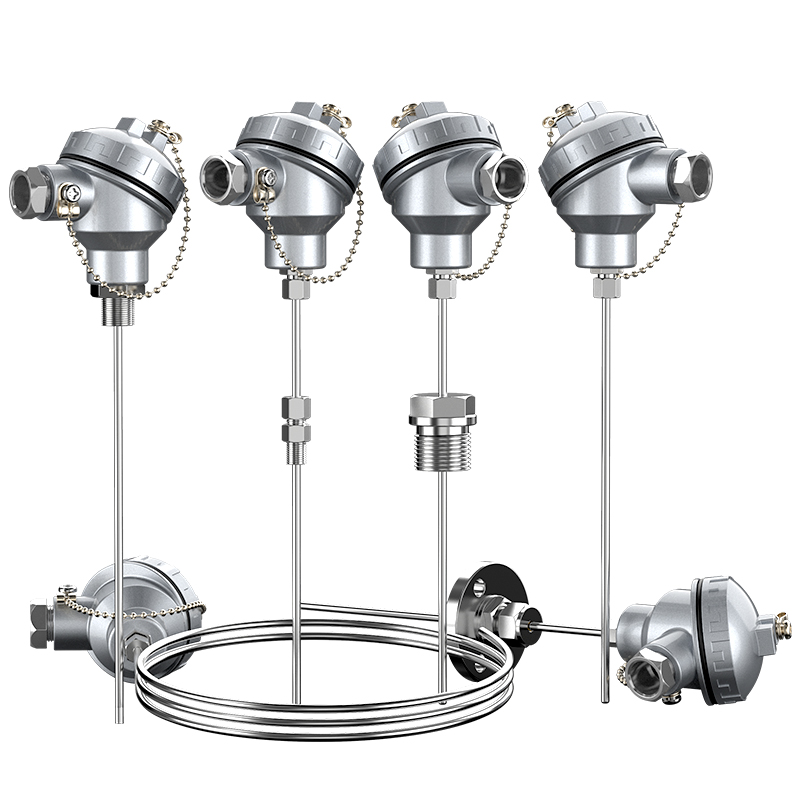 鎧裝熱電偶-阻10_http://www.gxyifafood.com_溫度儀表_第1張