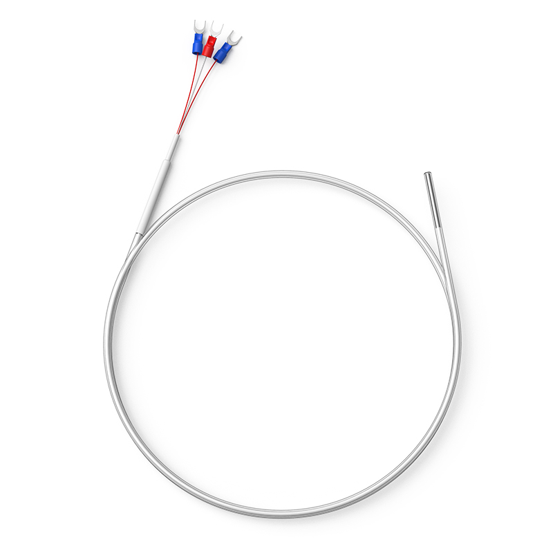 鐵氟龍熱電阻12_http://www.gxyifafood.com_溫度儀表_第1張