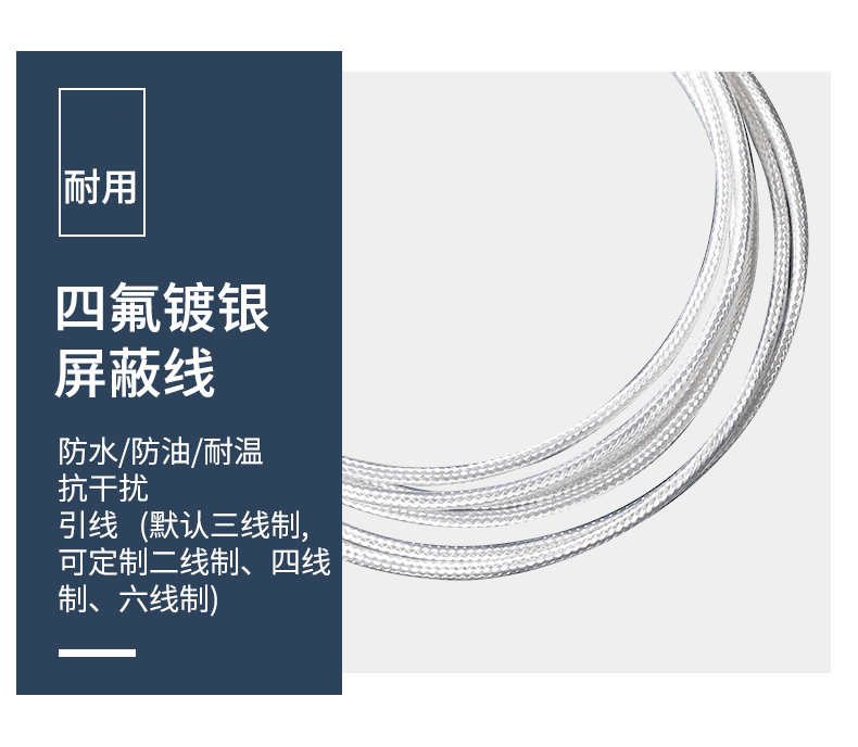 端面熱電阻6_http://www.gxyifafood.com_溫度儀表_第11張