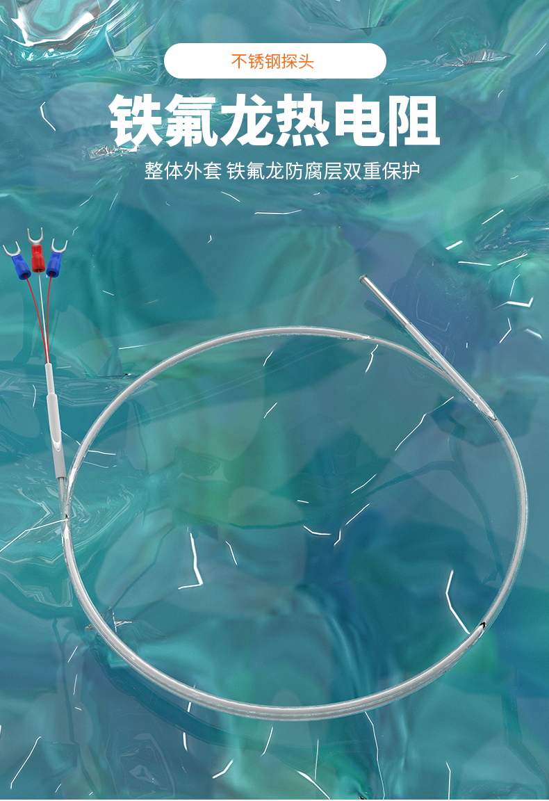 鐵氟龍熱電阻12_http://www.gxyifafood.com_溫度儀表_第4張