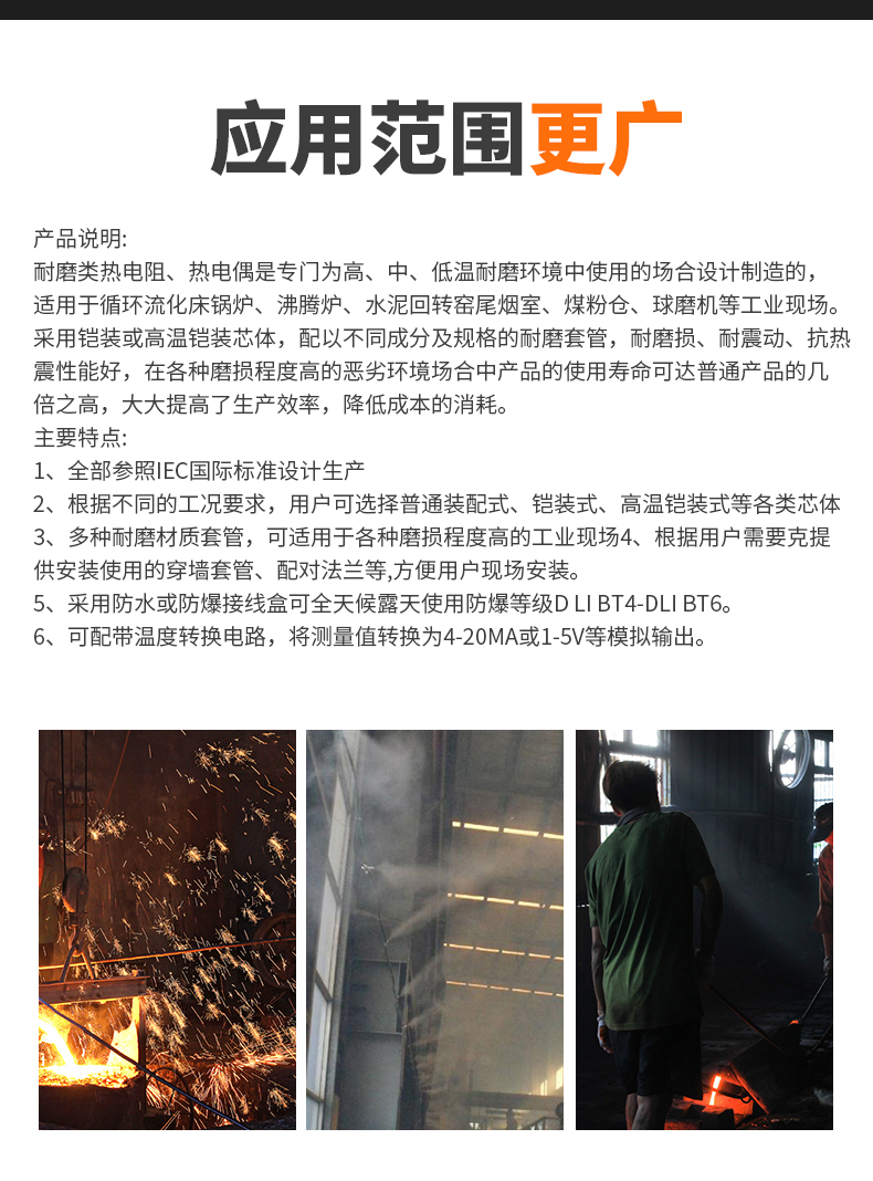 WRNM-131耐磨熱電偶15_http://www.gxyifafood.com_溫度儀表_第6張