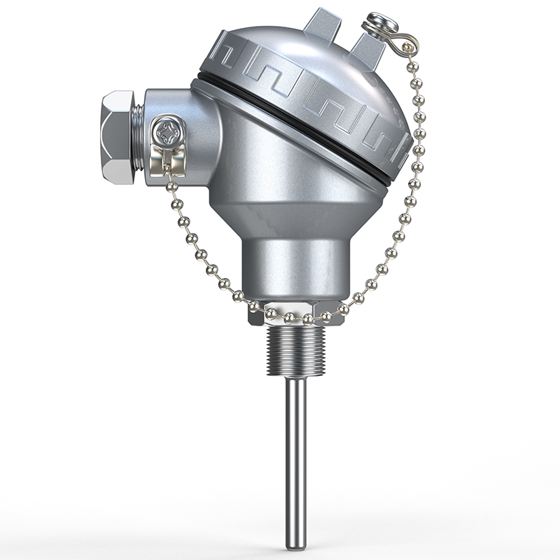 PT-100 一體化溫度傳感變送器16_http://www.gxyifafood.com_溫度儀表_第1張